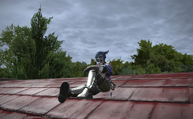 ffxiv_20160801_230303